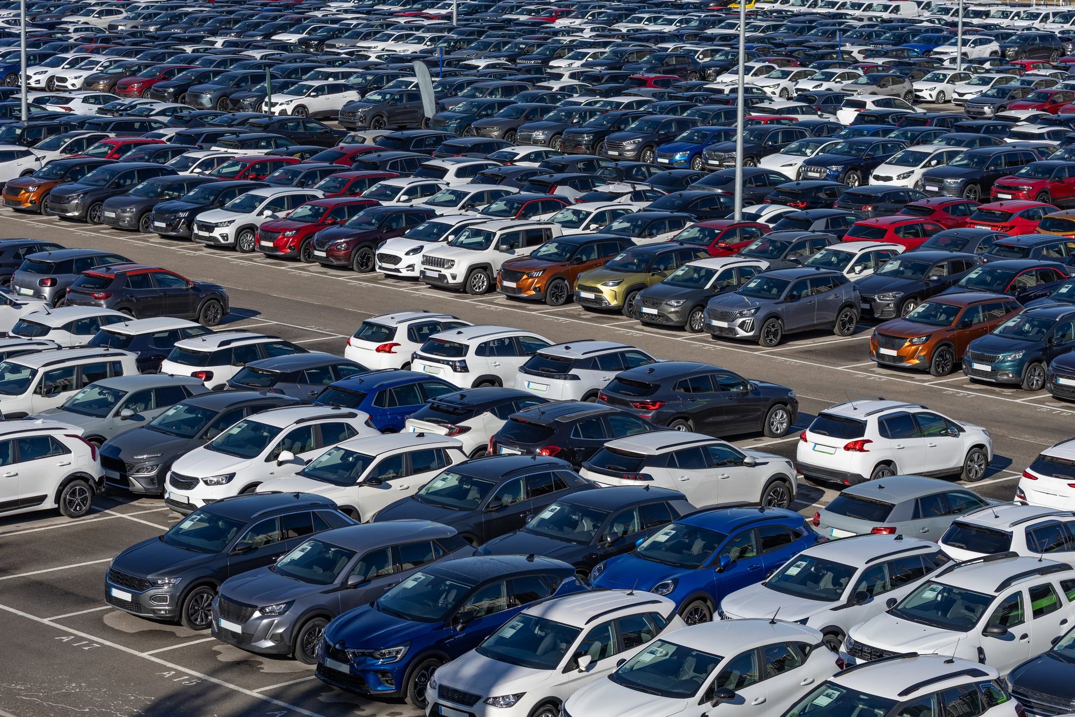 Rows of vehicles in a dealership parking lot